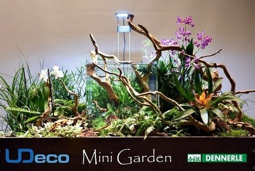 Оформление мини-сада с аквариумом