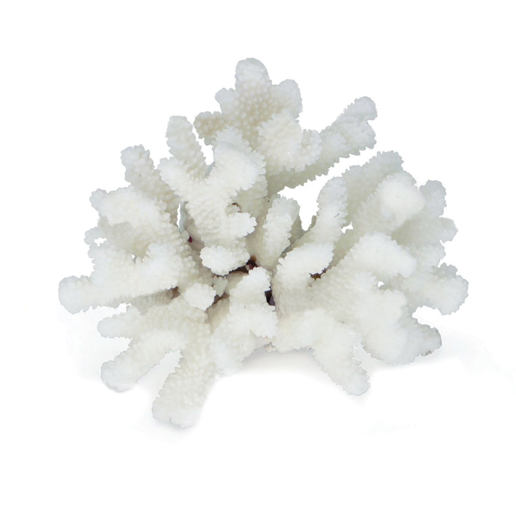 UDeco Finger Coral